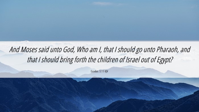 Picture 06 - Exodus 3:11 KJV Desktop Wallpaper - And Moses said unto God, Who am I, that I should - Desktop Bible Verse Wallpaper
