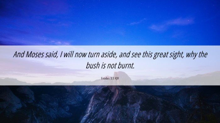 Picture 06 - Exodus 3:3 KJV Desktop Wallpaper - And Moses said, I will now turn aside, and see - Desktop Bible Verse Wallpaper