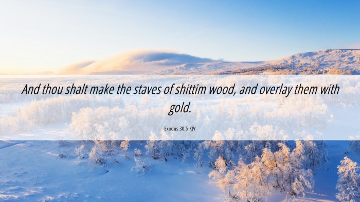 Picture 06 - Exodus 30:5 KJV Desktop Wallpaper - And thou shalt make the staves of shittim wood, - Desktop Bible Verse Wallpaper