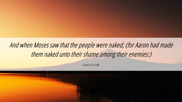 Picture 06 - Exodus 32:25 KJV Desktop Wallpaper - And when Moses saw that the people were naked; - Desktop Bible Verse Wallpaper