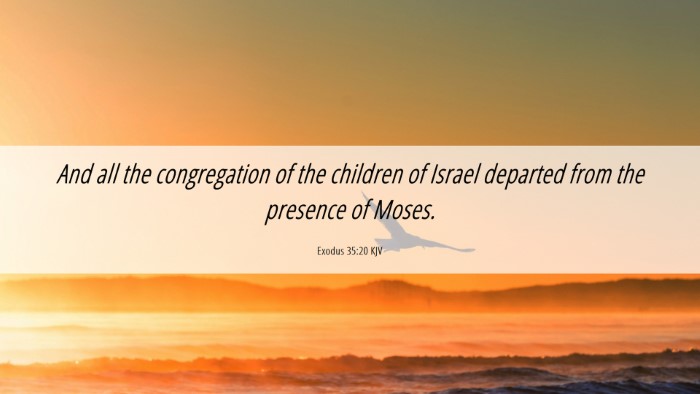 Picture 06 - Exodus 35:20 KJV Desktop Wallpaper - And all the congregation of the children of - Desktop Bible Verse Wallpaper