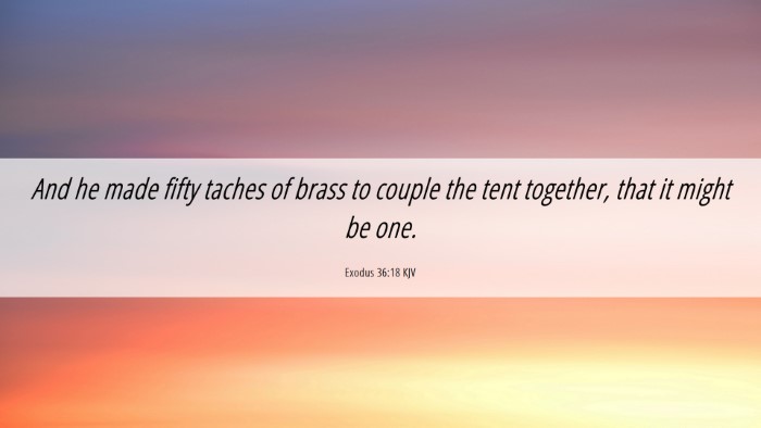 Picture 06 - Exodus 36:18 KJV Desktop Wallpaper - And he made fifty taches of brass to couple the - Desktop Bible Verse Wallpaper