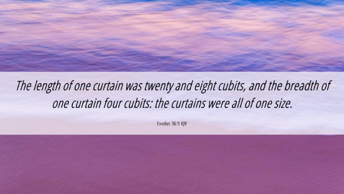 Picture 06 - Exodus 36:9 KJV Desktop Wallpaper - The length of one curtain was twenty and eight - Desktop Bible Verse Wallpaper