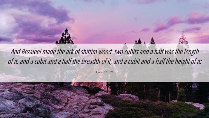 Picture 06 - Exodus 37:1 KJV Desktop Wallpaper - And Bezaleel made the ark of shittim wood: two - Desktop Bible Verse Wallpaper