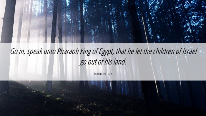 Picture 06 - Exodus 6:11 KJV Desktop Wallpaper - Go in, speak unto Pharaoh king of Egypt, that he - Desktop Bible Verse Wallpaper