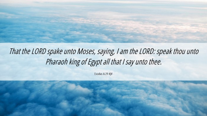 Picture 06 - Exodus 6:29 KJV Desktop Wallpaper - That the LORD spake unto Moses, saying, I am the - Desktop Bible Verse Wallpaper