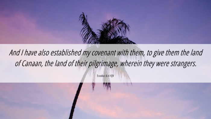 Picture 06 - Exodus 6:4 KJV Desktop Wallpaper - And I have also established my covenant with - Desktop Bible Verse Wallpaper