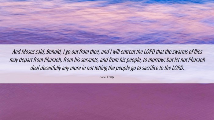 Picture 06 - Exodus 8:29 KJV Desktop Wallpaper - And Moses said, Behold, I go out from thee, and I - Desktop Bible Verse Wallpaper