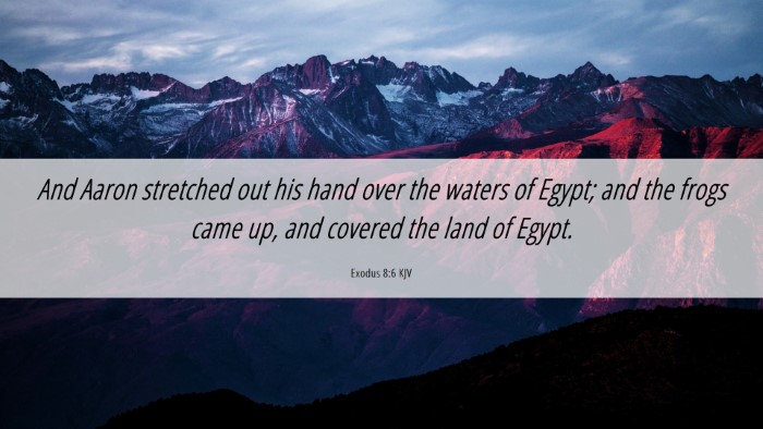 Picture 06 - Exodus 8:6 KJV Desktop Wallpaper - And Aaron stretched out his hand over the waters - Desktop Bible Verse Wallpaper