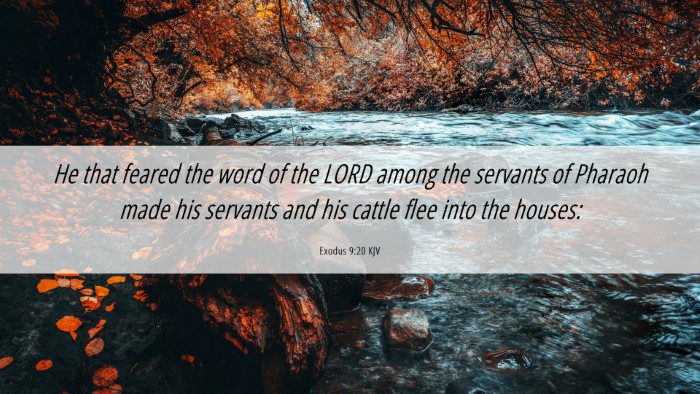 Picture 06 - Exodus 9:20 KJV Desktop Wallpaper - He that feared the word of the LORD among the - Desktop Bible Verse Wallpaper