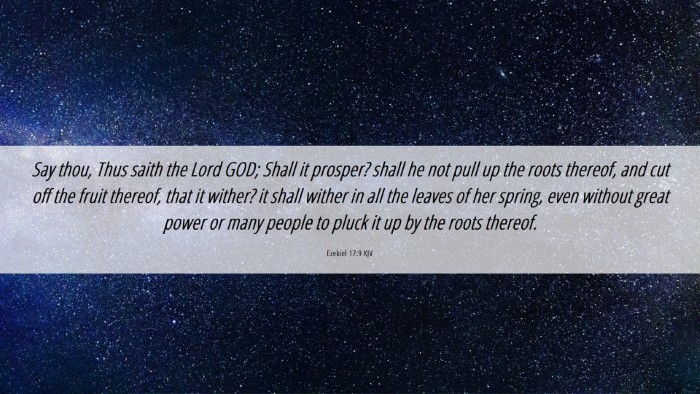 Picture 06 - Ezekiel 17:9 KJV Desktop Wallpaper - Say thou, Thus saith the Lord GOD; Shall it - Desktop Bible Verse Wallpaper