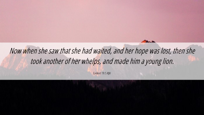 Picture 06 - Ezekiel 19:5 KJV Desktop Wallpaper - Now when she saw that she had waited, and her - Desktop Bible Verse Wallpaper