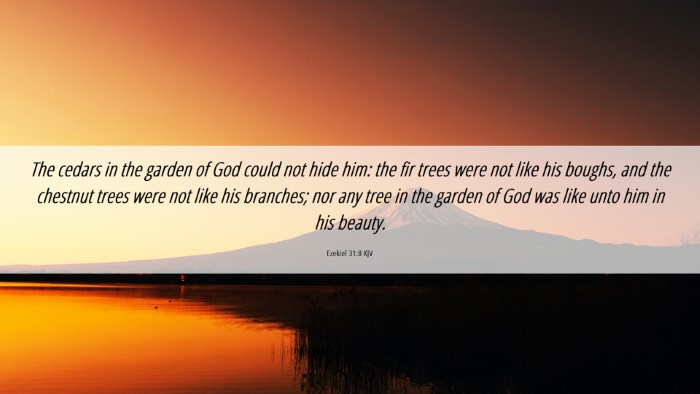 Picture 06 - Ezekiel 31:8 KJV Desktop Wallpaper - The cedars in the garden of God could not hide - Desktop Bible Verse Wallpaper