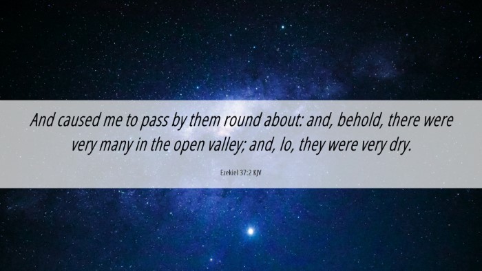 Picture 06 - Ezekiel 37:2 KJV Desktop Wallpaper - And caused me to pass by them round about: and, - Desktop Bible Verse Wallpaper