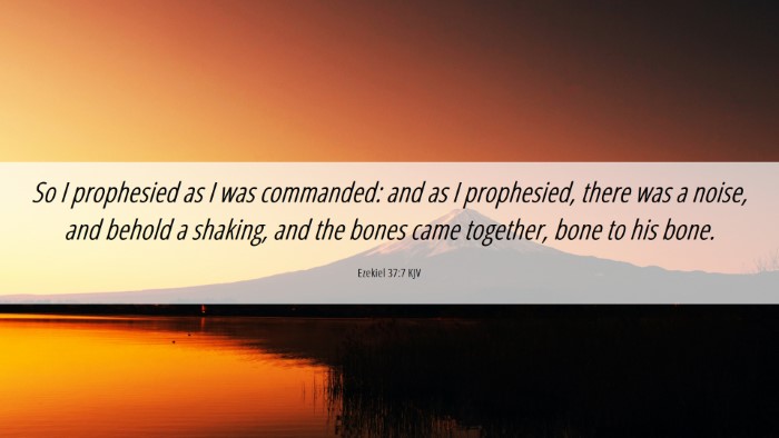 Picture 06 - Ezekiel 37:7 KJV Desktop Wallpaper - So I prophesied as I was commanded: and as I - Desktop Bible Verse Wallpaper