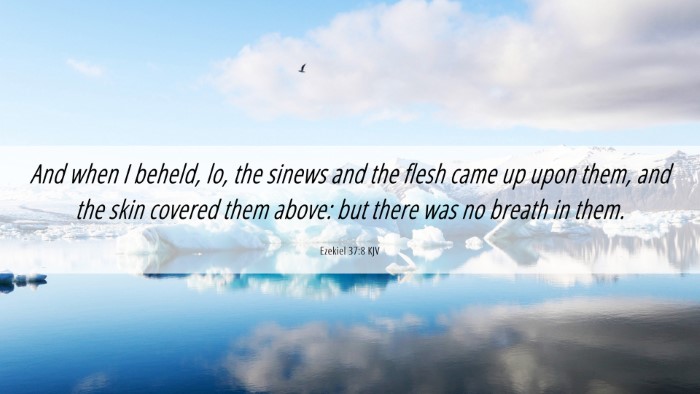 Picture 06 - Ezekiel 37:8 KJV Desktop Wallpaper - And when I beheld, lo, the sinews and the flesh - Desktop Bible Verse Wallpaper