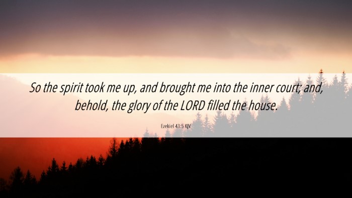 Picture 06 - Ezekiel 43:5 KJV Desktop Wallpaper - So the spirit took me up, and brought me into the - Desktop Bible Verse Wallpaper