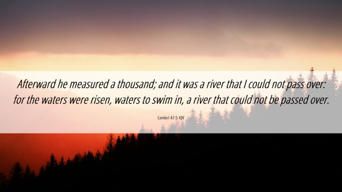 Picture 06 - Ezekiel 47:5 KJV Desktop Wallpaper - Afterward he measured a thousand; and it was a - Desktop Bible Verse Wallpaper