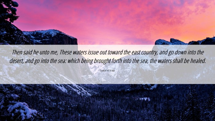 Picture 06 - Ezekiel 47:8 KJV Desktop Wallpaper - Then said he unto me, These waters issue out - Desktop Bible Verse Wallpaper