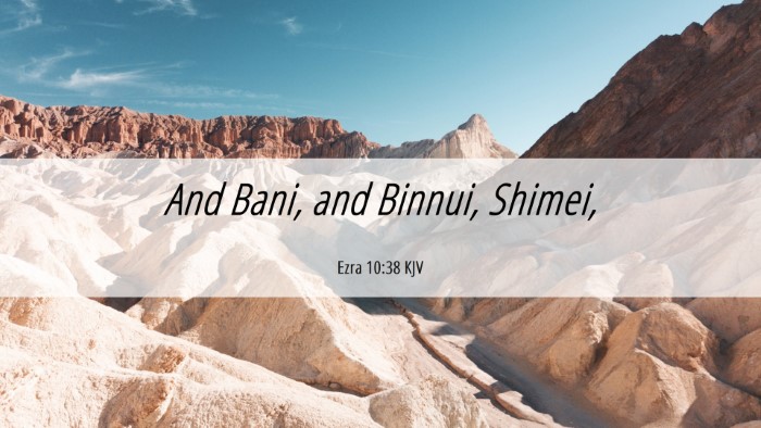 Picture 06 - Ezra 10:38 KJV Desktop Wallpaper - And Bani, and Binnui, - Desktop Bible Verse Wallpaper