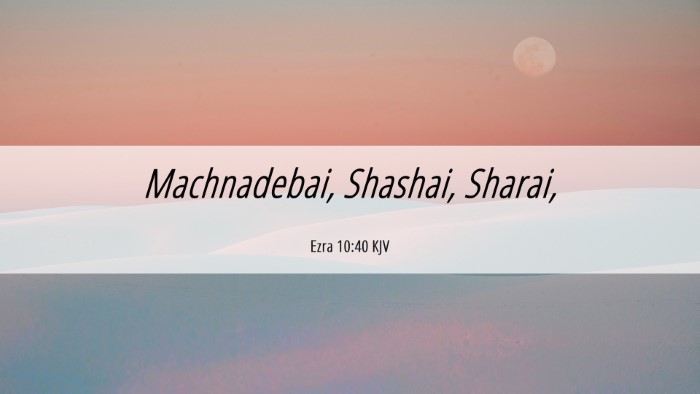 Picture 06 - Ezra 10:40 KJV Desktop Wallpaper - Machnadebai, Shashai, - Desktop Bible Verse Wallpaper