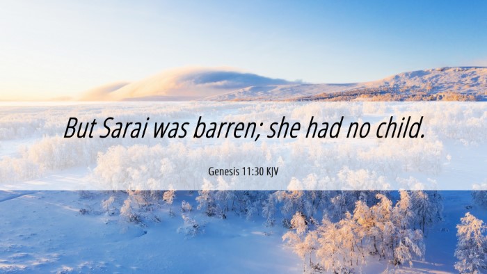 Picture 06 - Genesis 11:30 KJV Desktop Wallpaper - But Sarai was barren; she had no - Desktop Bible Verse Wallpaper