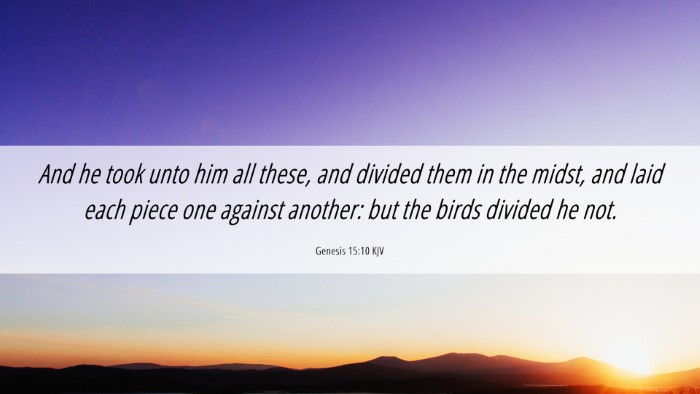 Picture 06 - Genesis 15:10 KJV Desktop Wallpaper - And he took unto him all these, and divided them - Desktop Bible Verse Wallpaper