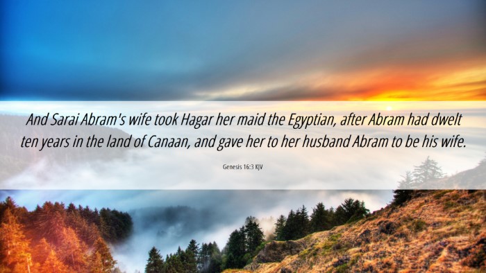Picture 06 - Genesis 16:3 KJV Desktop Wallpaper - And Sarai Abram's wife took Hagar her maid the - Desktop Bible Verse Wallpaper