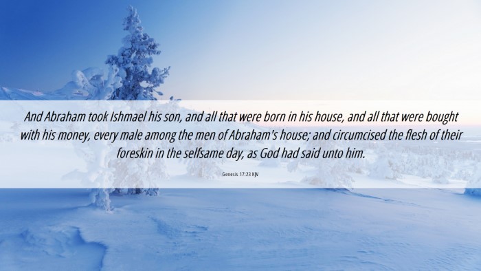 Picture 06 - Genesis 17:23 KJV Desktop Wallpaper - And Abraham took Ishmael his son, and all that - Desktop Bible Verse Wallpaper