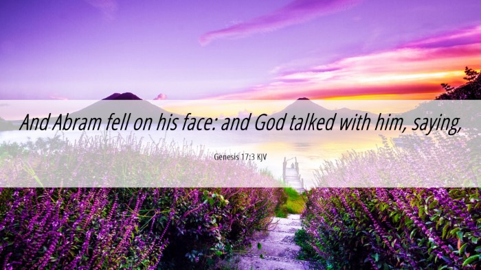 Picture 06 - Genesis 17:3 KJV Desktop Wallpaper - And Abram fell on his face: and God talked with - Desktop Bible Verse Wallpaper
