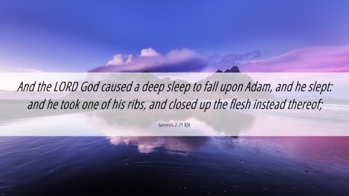Picture 06 - Genesis 2:21 KJV Desktop Wallpaper - And the LORD God caused a deep sleep to fall upon - Desktop Bible Verse Wallpaper