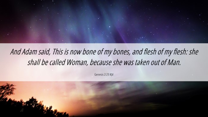 Picture 06 - Genesis 2:23 KJV Desktop Wallpaper - And Adam said, This is now bone of my bones, and - Desktop Bible Verse Wallpaper