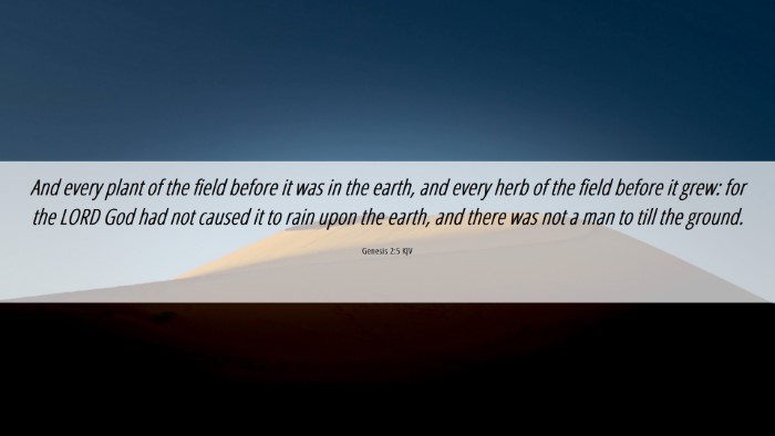 Picture 06 - Genesis 2:5 KJV Desktop Wallpaper - And every plant of the field before it was in the - Desktop Bible Verse Wallpaper