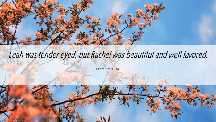 Picture 06 - Genesis 29:17 KJV Desktop Wallpaper - Leah was tender eyed; but Rachel was beautiful - Desktop Bible Verse Wallpaper