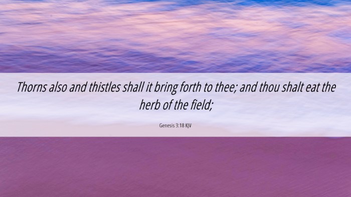 Picture 06 - Genesis 3:18 KJV Desktop Wallpaper - Thorns also and thistles shall it bring forth to - Desktop Bible Verse Wallpaper