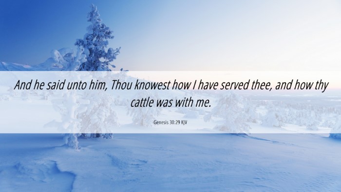 Picture 06 - Genesis 30:29 KJV Desktop Wallpaper - And he said unto him, Thou knowest how I have - Desktop Bible Verse Wallpaper