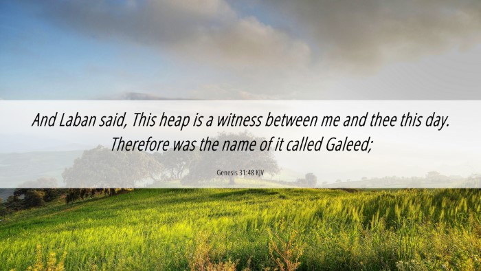 Picture 06 - Genesis 31:48 KJV Desktop Wallpaper - And Laban said, This heap is a witness between me - Desktop Bible Verse Wallpaper
