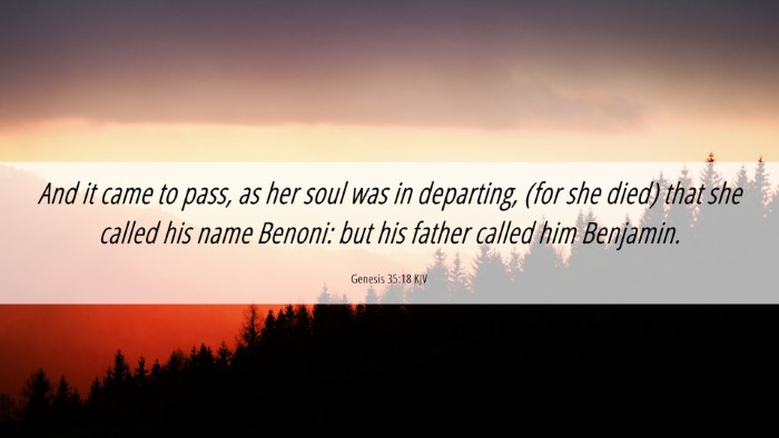 Picture 06 - Genesis 35:18 KJV Desktop Wallpaper - And it came to pass, as her soul was in - Desktop Bible Verse Wallpaper