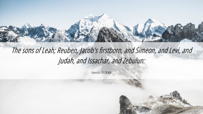 Picture 06 - Genesis 35:23 KJV Desktop Wallpaper - The sons of Leah; Reuben, Jacob's firstborn, and - Desktop Bible Verse Wallpaper
