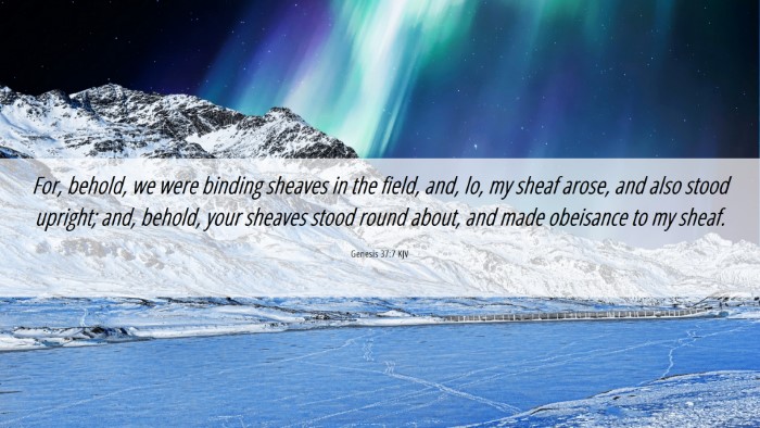 Picture 06 - Genesis 37:7 KJV Desktop Wallpaper - For, behold, we were binding sheaves in the - Desktop Bible Verse Wallpaper