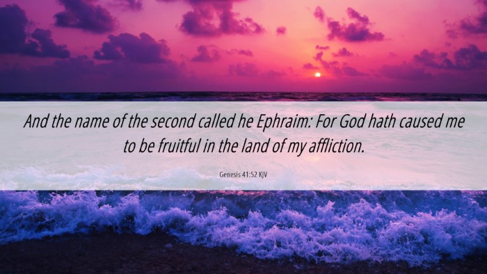 Picture 06 - Genesis 41:52 KJV Desktop Wallpaper - And the name of the second called he Ephraim: For - Desktop Bible Verse Wallpaper