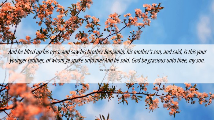 Picture 06 - Genesis 43:29 KJV Desktop Wallpaper - And he lifted up his eyes, and saw his brother - Desktop Bible Verse Wallpaper
