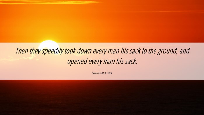 Picture 06 - Genesis 44:11 KJV Desktop Wallpaper - Then they speedily took down every man his sack - Desktop Bible Verse Wallpaper