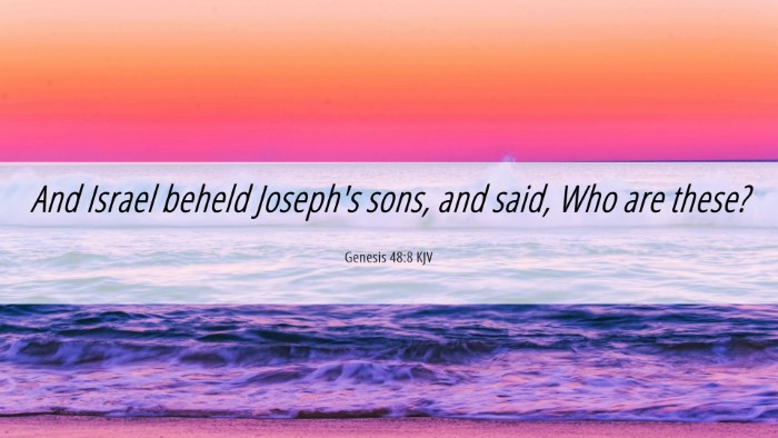Picture 06 - Genesis 48:8 KJV Desktop Wallpaper - And Israel beheld Joseph's sons, and said, Who - Desktop Bible Verse Wallpaper