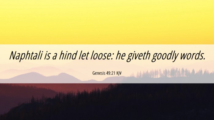Picture 06 - Genesis 49:21 KJV Desktop Wallpaper - Naphtali is a hind let loose: he giveth goodly - Desktop Bible Verse Wallpaper