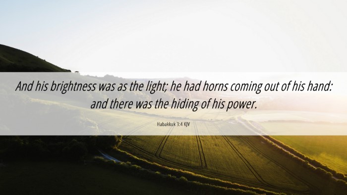 Picture 06 - Habakkuk 3:4 KJV Desktop Wallpaper - And his brightness was as the light; he had horns - Desktop Bible Verse Wallpaper