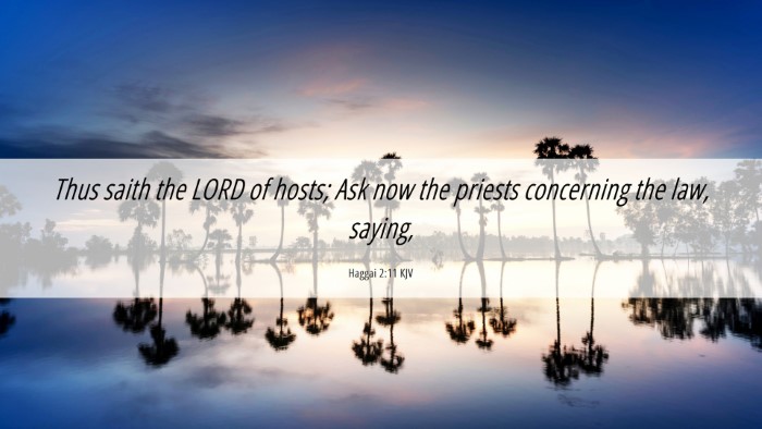 Picture 06 - Haggai 2:11 KJV Desktop Wallpaper - Thus saith the LORD of hosts; Ask now the priests - Desktop Bible Verse Wallpaper
