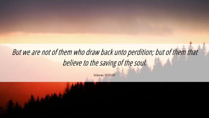 Picture 06 - Hebrews 10:39 KJV Desktop Wallpaper - But we are not of them who draw back unto - Desktop Bible Verse Wallpaper