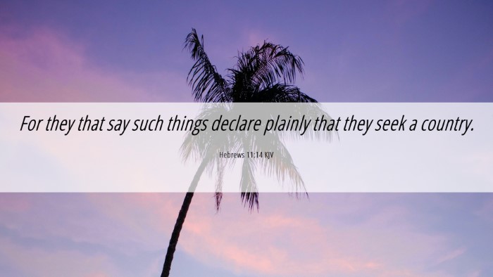 Picture 06 - Hebrews 11:14 KJV Desktop Wallpaper - For they that say such things declare plainly - Desktop Bible Verse Wallpaper