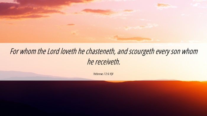 Picture 06 - Hebrews 12:6 KJV Desktop Wallpaper - For whom the Lord loveth he chasteneth, and - Desktop Bible Verse Wallpaper